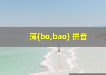 薄(bo,bao) 拼音